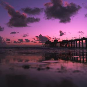 中国女人与公狗1级黄色大片日本女人与狗性交黄色大片视频
